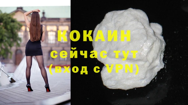 шишки Балахна