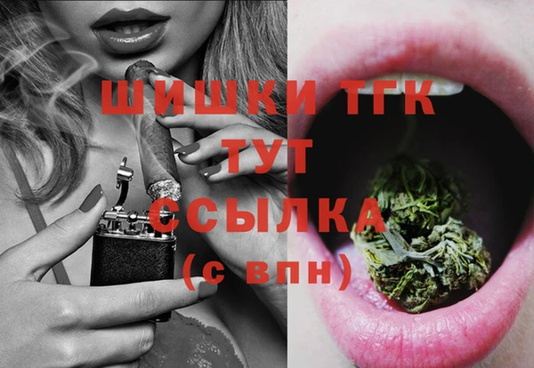 шишки Балахна