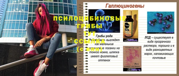 ГАЛЛЮЦИНОГЕННЫЕ ГРИБЫ Баксан